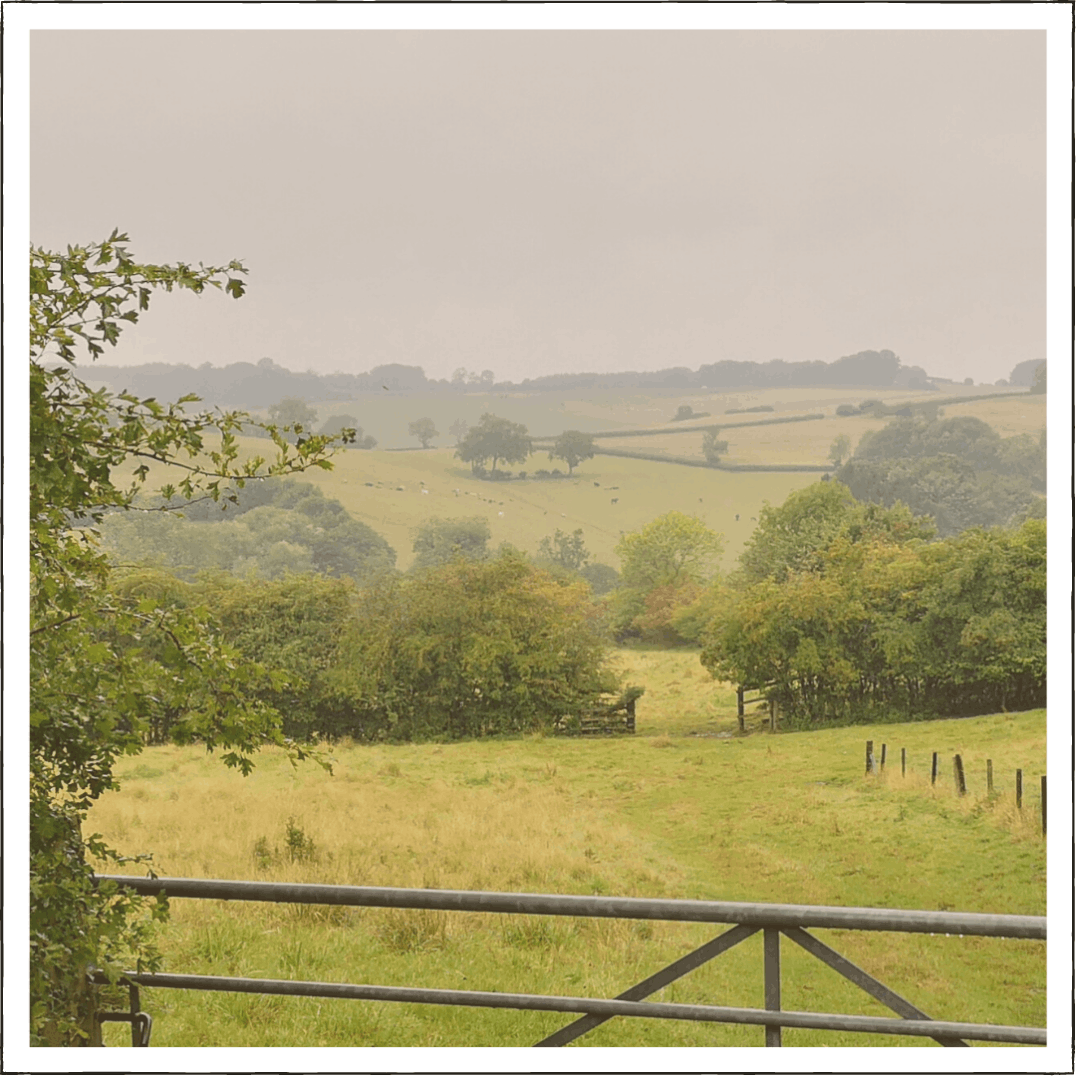 Views over Sowdale Nature Reserve
